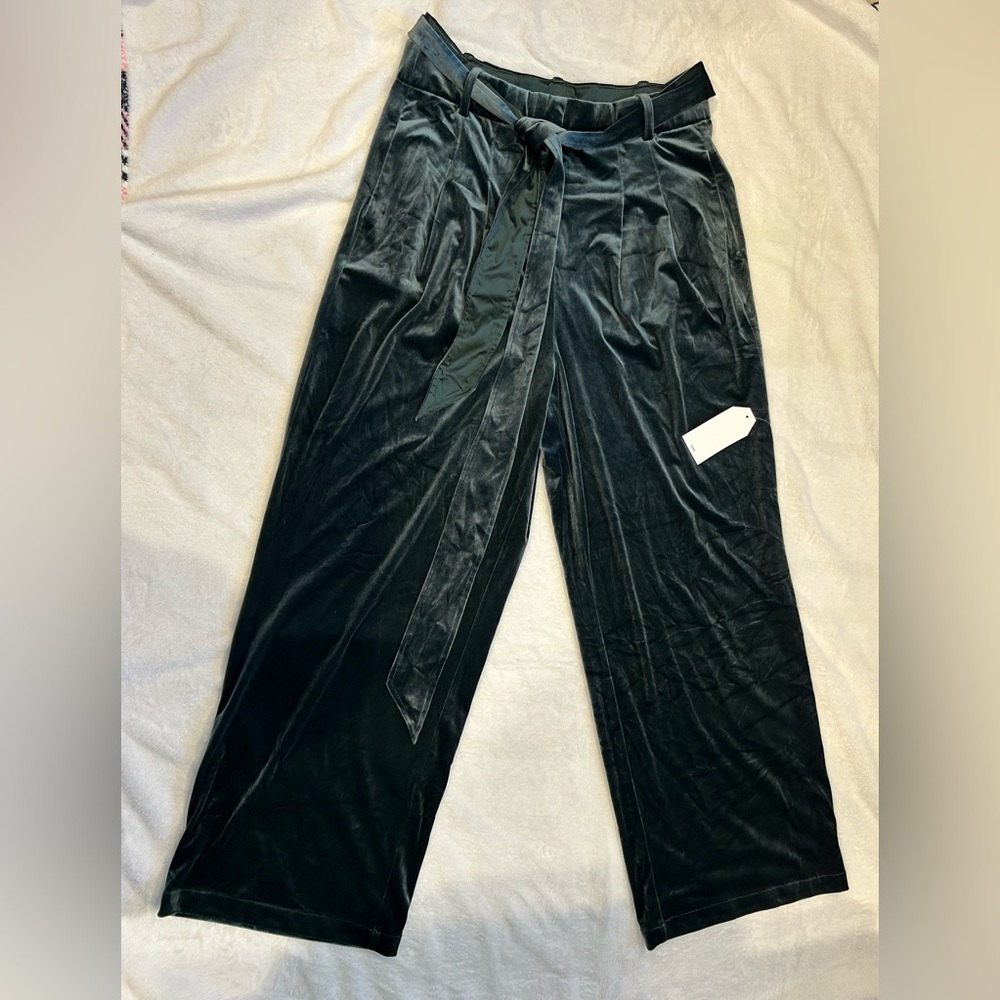 Universal Standard Luxe velour wide-leg trousers rich green NWT - size XS (12)